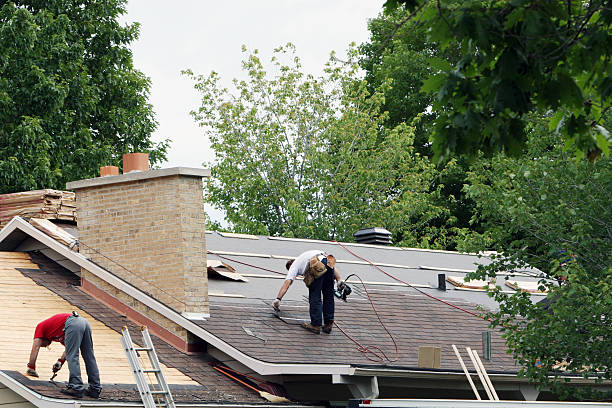 Best Roof Maintenance Services  in Lake Stickney, WA