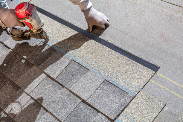 Best Local Roofing Companies  in Lake Stickney, WA